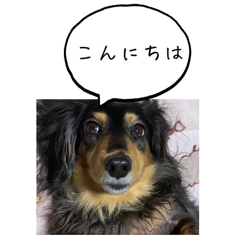 毎日寒いですね💦
雪☃️積もりました。