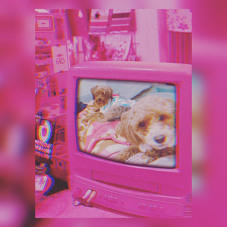 夫婦です(笑)