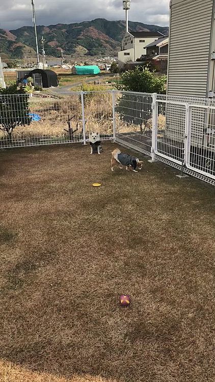昨日の午後
プライベートドッグランに行ってきました🚗
お揃いアウター着てったよ🐶💕🐶