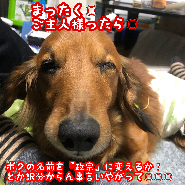 今日は朝から何か左目が開けづらくなってる様で､夕方医者に診せて3種類程目薬を処方してもらいましたヮ(゜д゜)ォ!
今年は何だかわからんけど年末まで色々具合が悪くなって大変です(￣▽￣;)