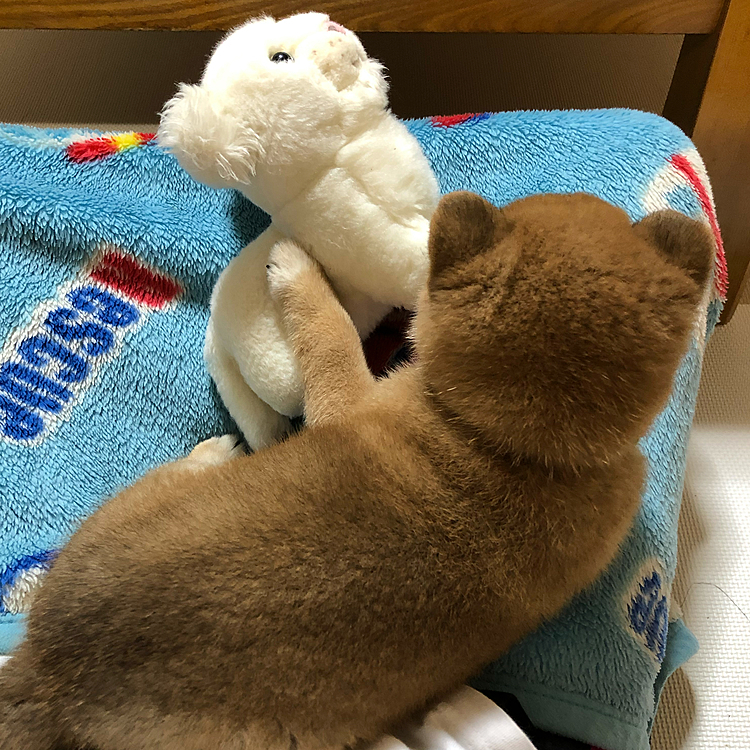 この白い人形はまるの相棒です。
今は相棒ではなく敵です笑
こんなに小さい時があったんだなぁ。懐かしい。