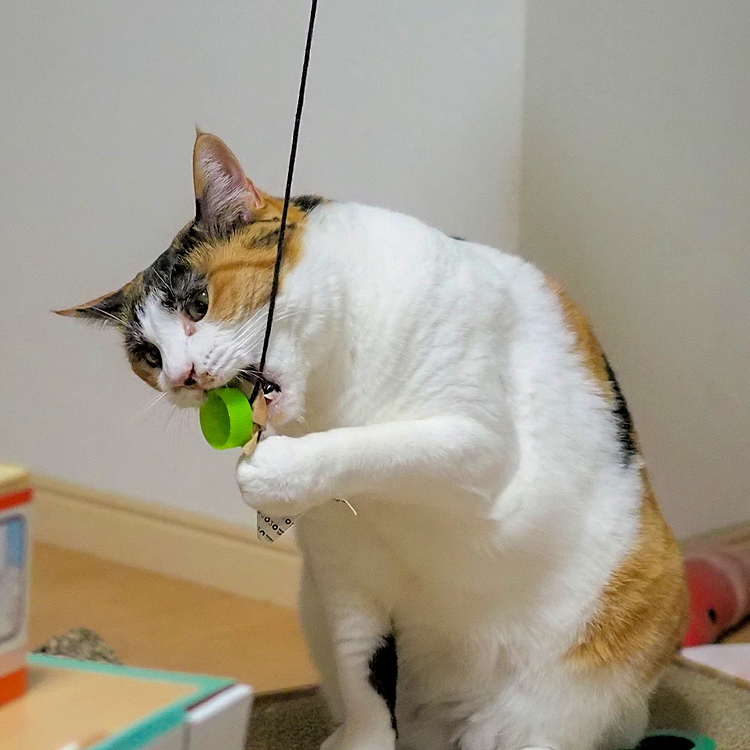 仕事人ごっこ。