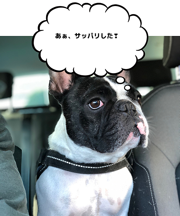心なしか体が白くなったような気が...😆