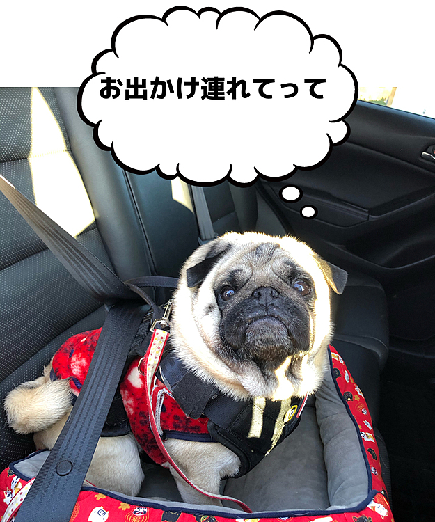 お天気が良かったのでテラスランチ🍛にお出かけです🚗