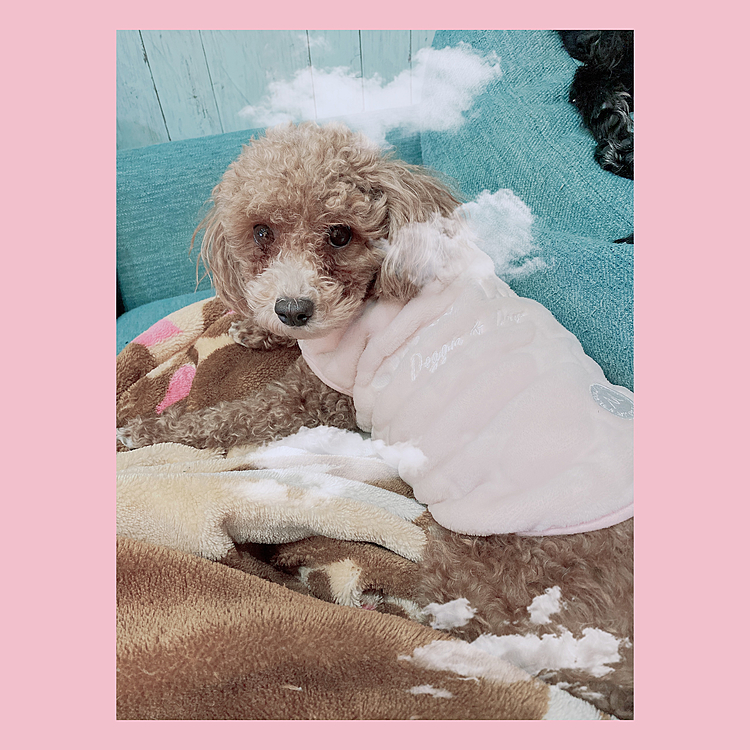 みんな写メが嫌いww
