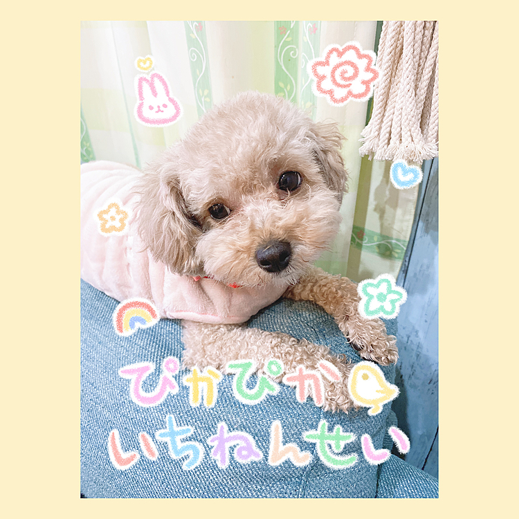 写メ撮ろうとするとこっちむいてくれないw
むりやりww