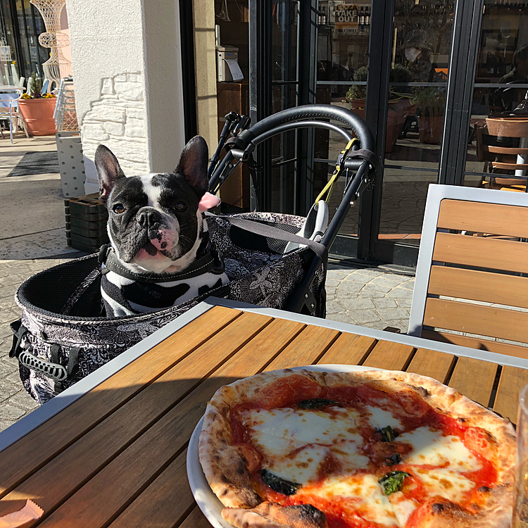 水曜日は🍕半額のランチに行って来ました😀
年内最後になるかと思います😁
