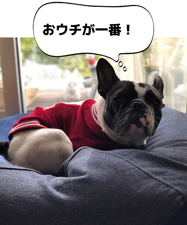 今日は曇り空で日向ぼっこはイマイチなようです😅