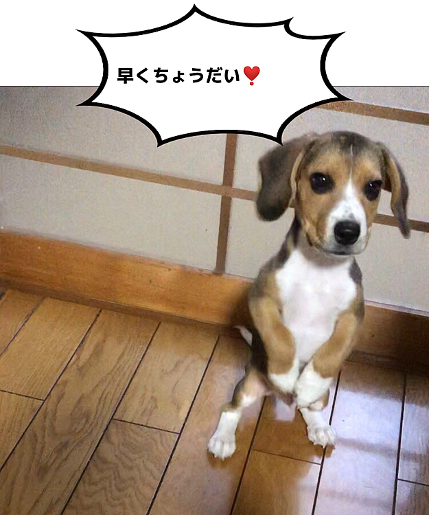 何か欲しい時の格好😄❤️