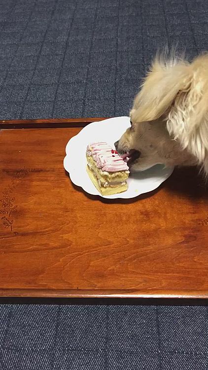 昨年は食べてくれたのに、今年のケーキはお気に召さない様でした😑結局食べず…
今どき男子は、ケーキも食べないと、モテないわよ😆