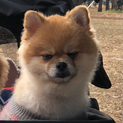 ちくわ…

顔。
