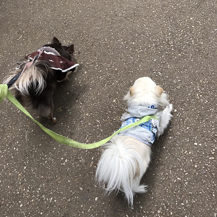 周りが写っていませんが
吉祥寺駅前を歩いています。
行き先は井の頭恩賜公園。