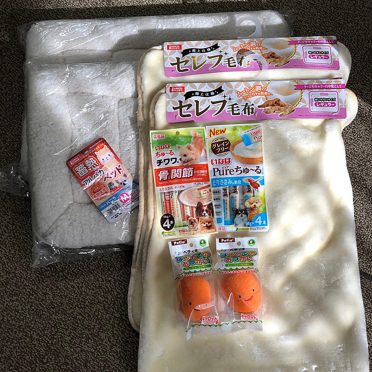 サンタさんがプレゼント🎁をくれました✨
小雪＆小春がケンカしないように全て1つずつ👍
毛布は車のドライブベッドに敷こうね😊