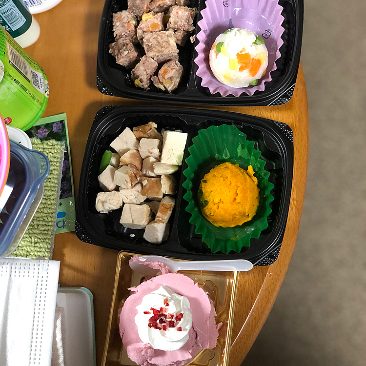 小雪＆小春の昨夜の晩ごはん
オッサン(兄)サンタが買ってくれました🎁
美味しかったね😊