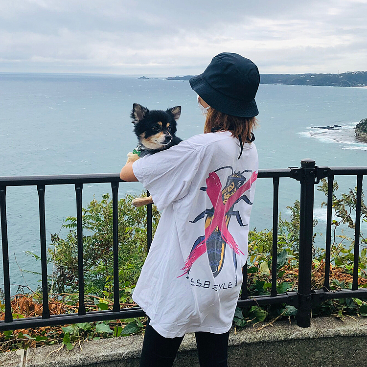 
夏の終わりは海も行って
犬生初の旅行＆海🌊
生まれて初めてのプールも経験したね😊

自粛明けで開放感MAXでした🐾

