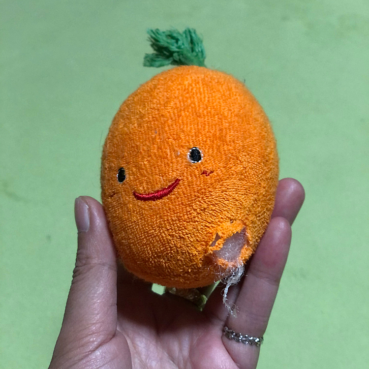 クリスマスプレゼント🎁に買ってきた
名付けて『キャロット1号🥕』
わずか1日の儚い命でした💦
犯人は…我が家の犬柱、小雪🐶
全集中ならぬ、一点集中でした😂

さて、今日で仕事納めしてくるから
小雪＆小春、自宅🏠警備しててね😊