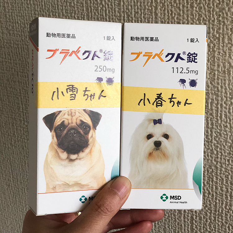 掛かりつけの病院は…
1〜4月は、ノミダニ薬
5〜12月は、ノミダニ+フィラリア薬
今日は1〜4月までのお薬を貰いに行ったら
1回で3ヶ月持続タイプの方が、毎月1回の薬より少し割安よ👍ってことでした😁
4月はまたフィラリア検査に行くし、その時にまたお薬貰おうと思います☺️