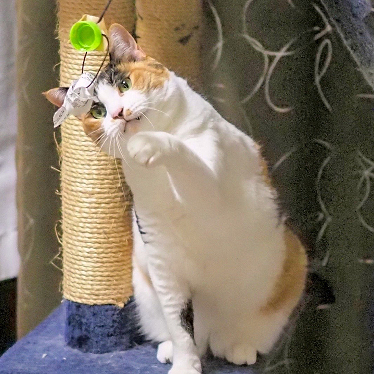 狙いを定めて。