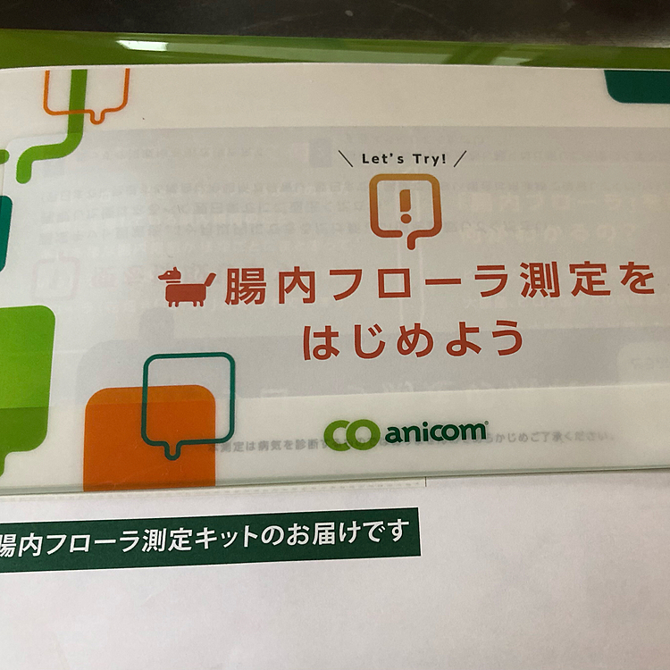 腸内フローラ測定キットが届きました😀
まろの腸内環境はどんなでしょうか？🤔