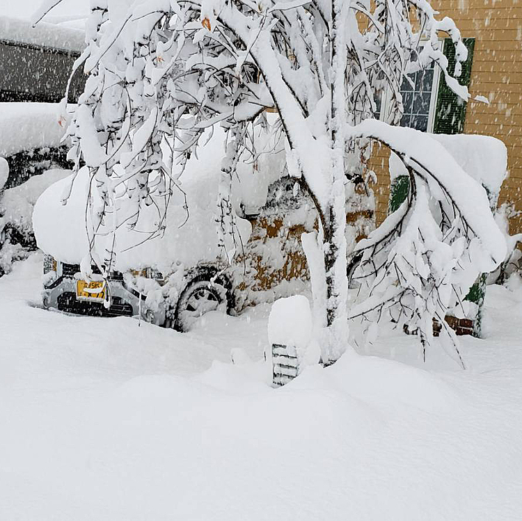 こちらは今朝、義姉が送ってくれた写真です☃️
今朝の7:30頃の写真ですが、すごいです☃️
これで30cmの積雪とのこと。
これでは行けません😅