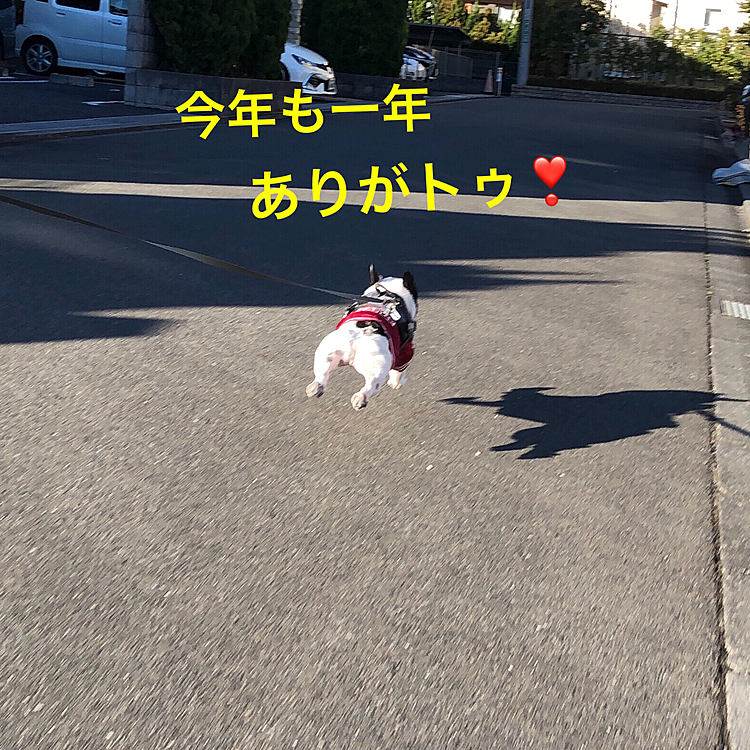 今年もお世話になりました😁
