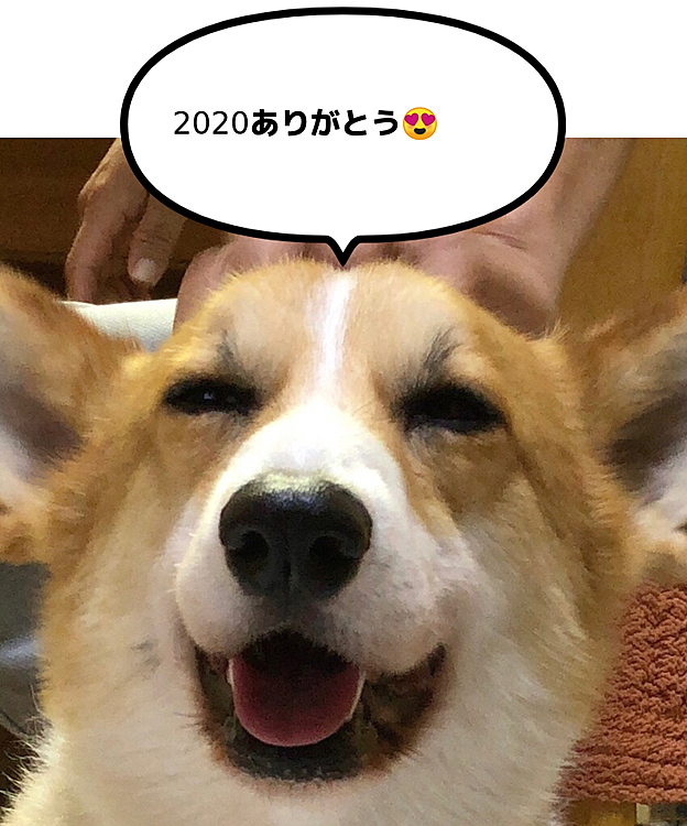 皆様😊かなりお久しぶりになりました💦
私ごとではありますが、２２日に母が亡くなりバタバタとしておりました🌀
やっと少し落ち着いて大晦日にやっと投稿してます💦
今年の、まあるの1番の笑顔の写真を😍