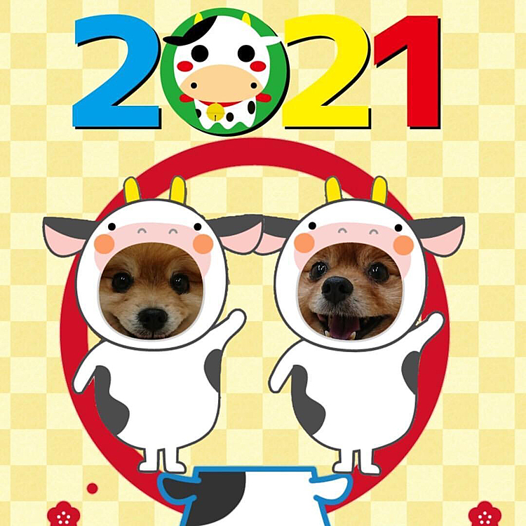 昨年登録させて頂き皆様に仲良くしていただき
とても感謝しております
今年もよろしくお願いします
(｡ᵕᴗᵕ｡)