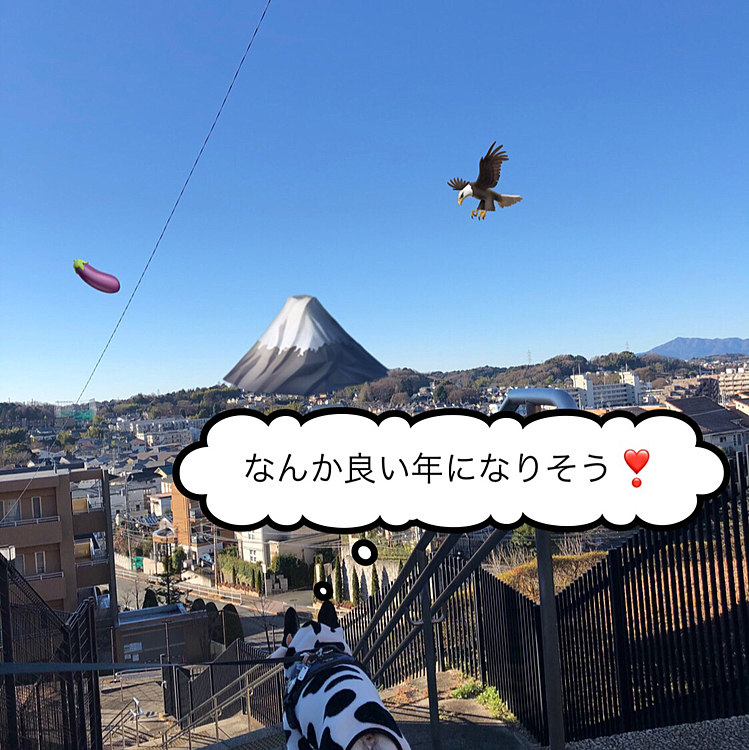 皆さんにとって良い年になりますように❣️