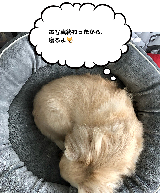 イヴは寝正月です😂