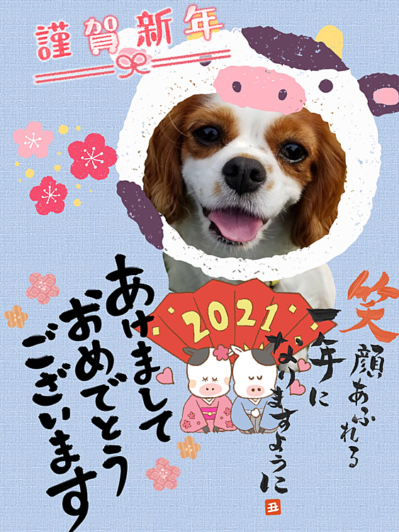 あけましておめでとうございます㊗️
今年もよろしくお願いします