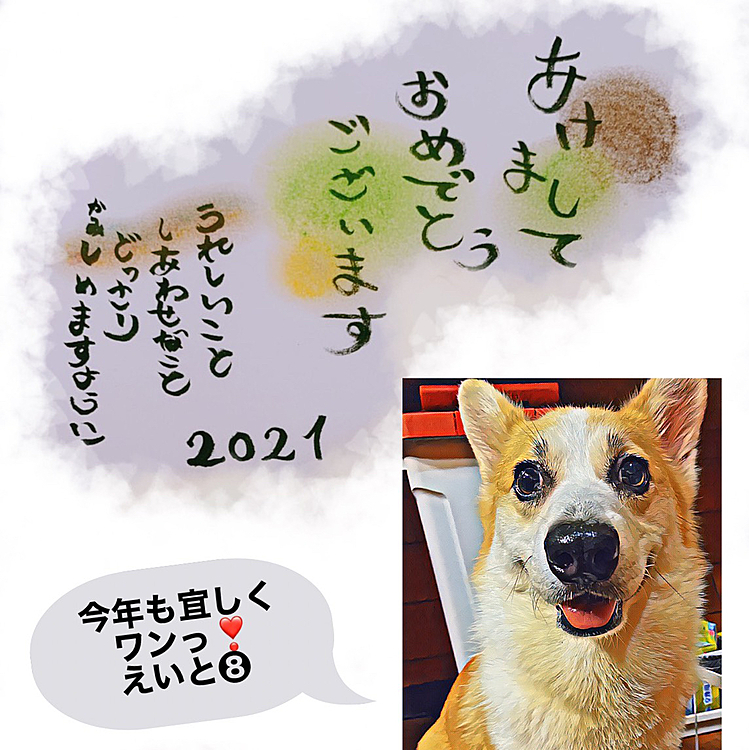 皆さんあけましておめでとうございます🎍
今年も宜しくお願いします🐾🐾
ボク用にママが作ってくれた年賀状（笑）