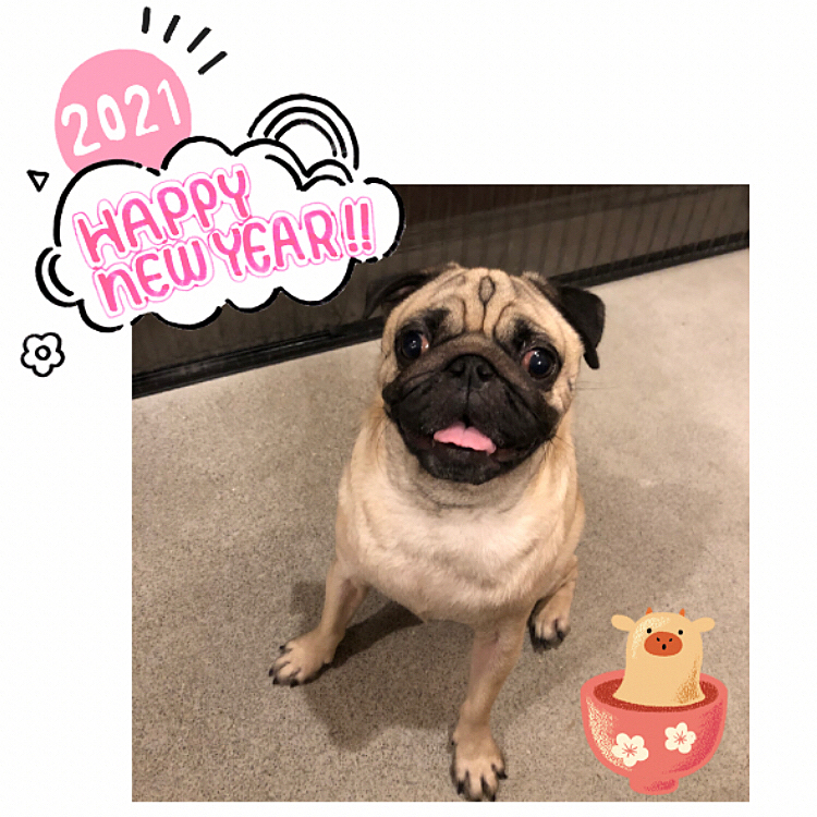 2021/01/01
🎍明けましておめでとうございます🎍
     今年もよろしくお願いいたします