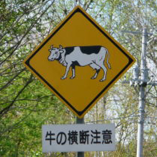 サニーB（まろ父）の投稿