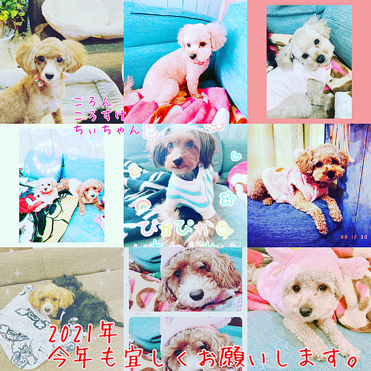 今年もよろしくお願いします！