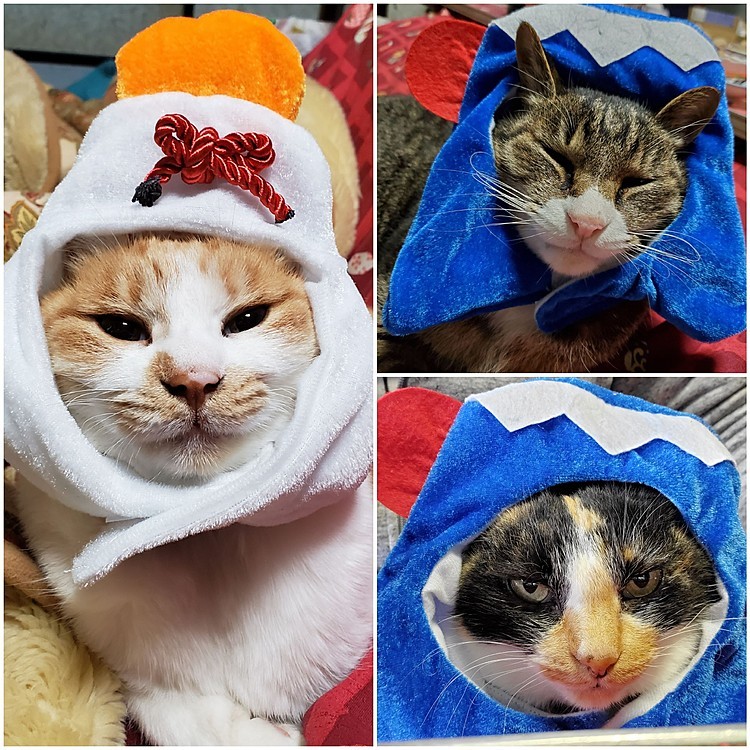 🎍明けましておめでとうございます🎍
今年も宜しくお願いします。
お年玉に、鏡もちと初日の出をどーぞ！