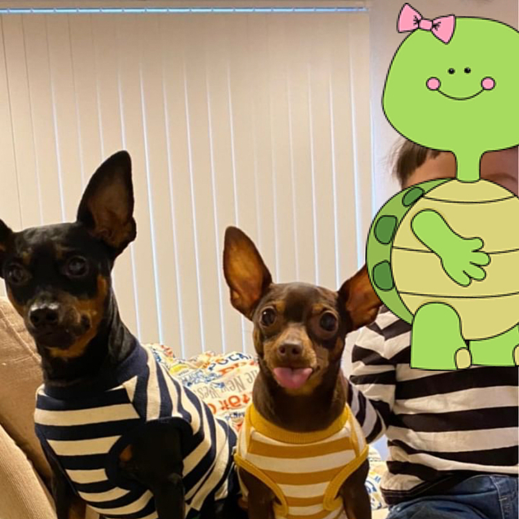 実は...


弟のおうちも犬好きなんです💕