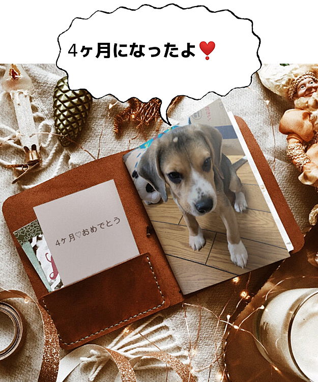 2021.1.4(月)

今日で4ヶ月🐶🧢💕
一回り大きくなりました🥰
お陰で服がキツくなっちゃった💦❄️🌤
嬉しい成長だね♪♪