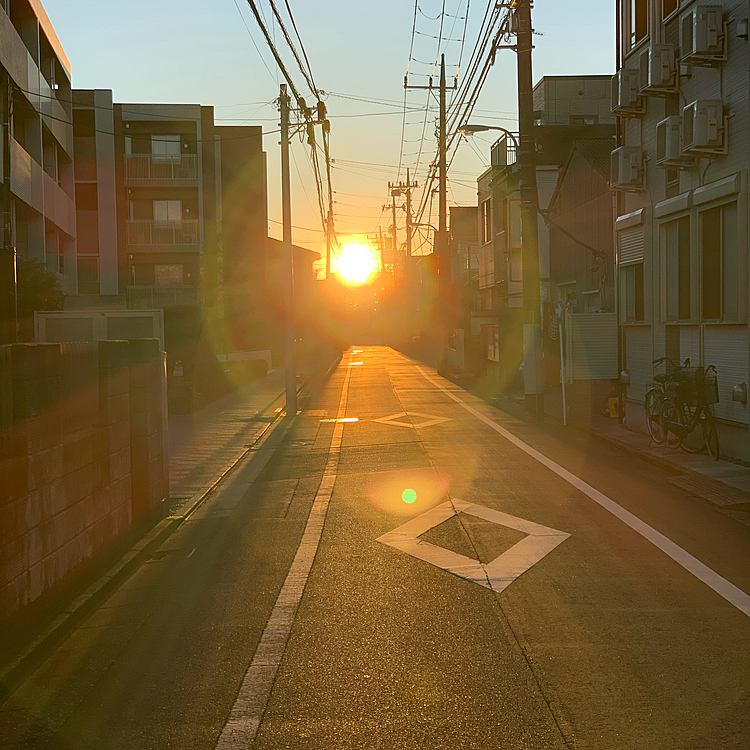 そしたらその直後、出てきたー☀️✨✨