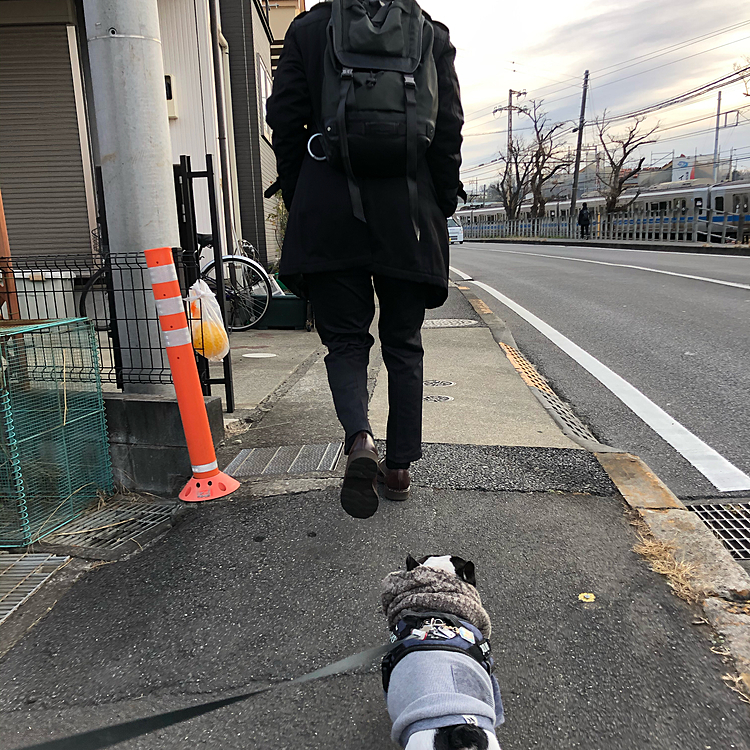 今朝は今日から仕事始めの次男と一緒に家を出てお散歩です😀