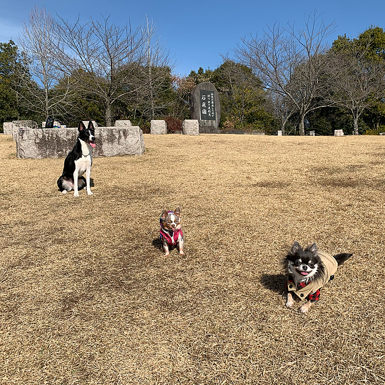 トリミング前にみんなで公園♡