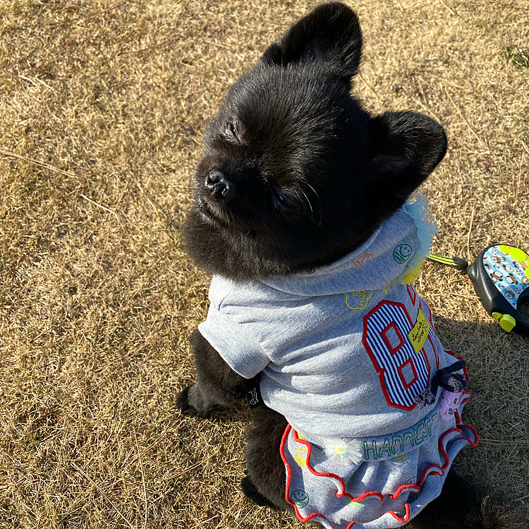 お天気よすぎて、お日様が眩しいらしいです😁