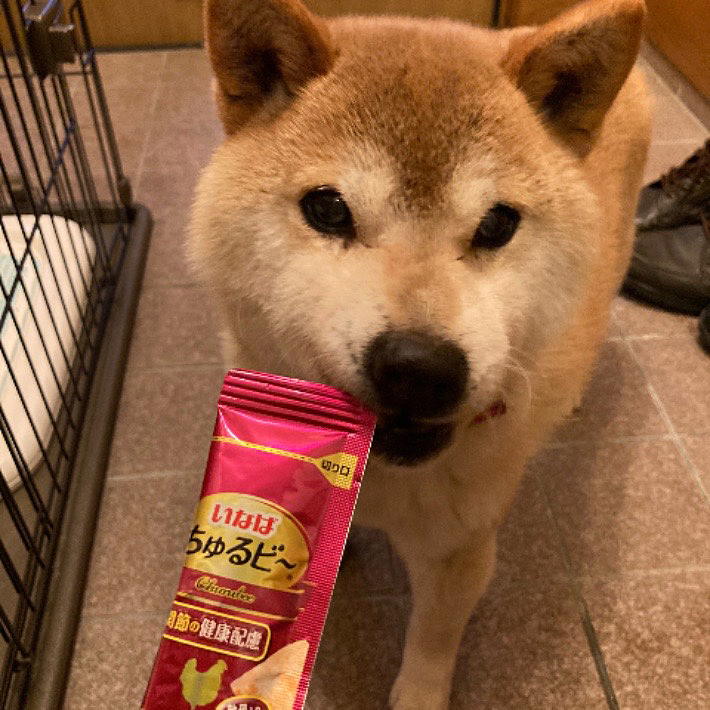 おやつが待ちきれないちび