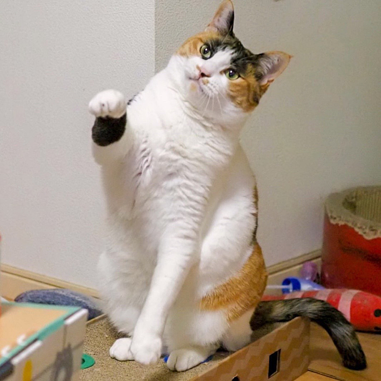 招きパンチ。