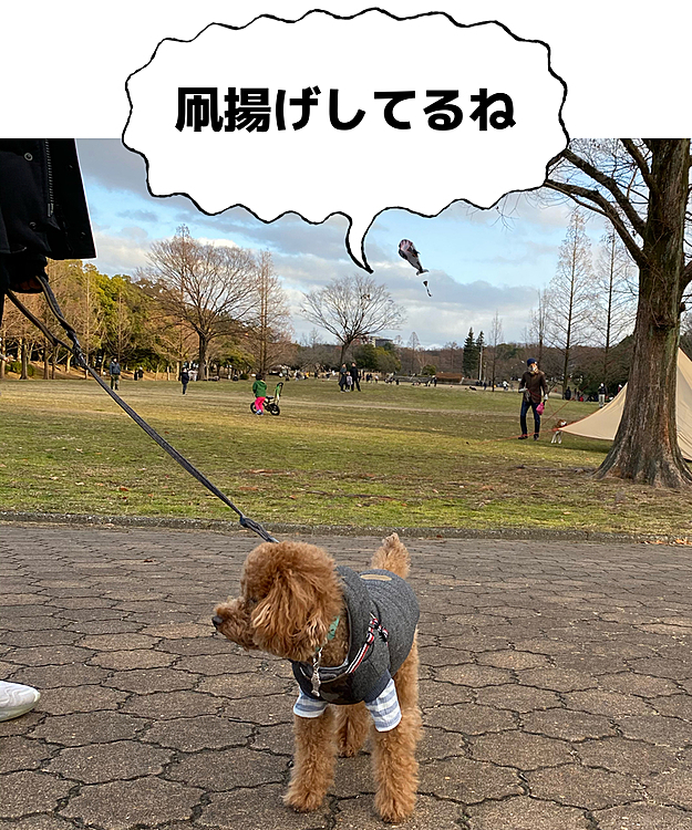 そして、年末頃から急に反抗期かも⁉️
これについてはまたじっくりレポートしたいと思います😅