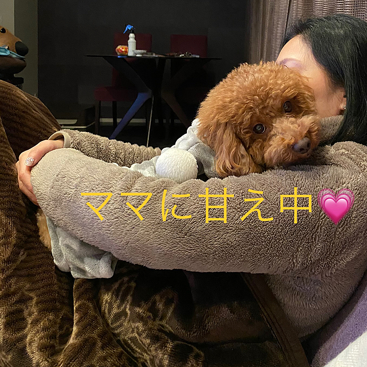 文字数制限があり分割にしただけなので写真と内容が合っていません💦