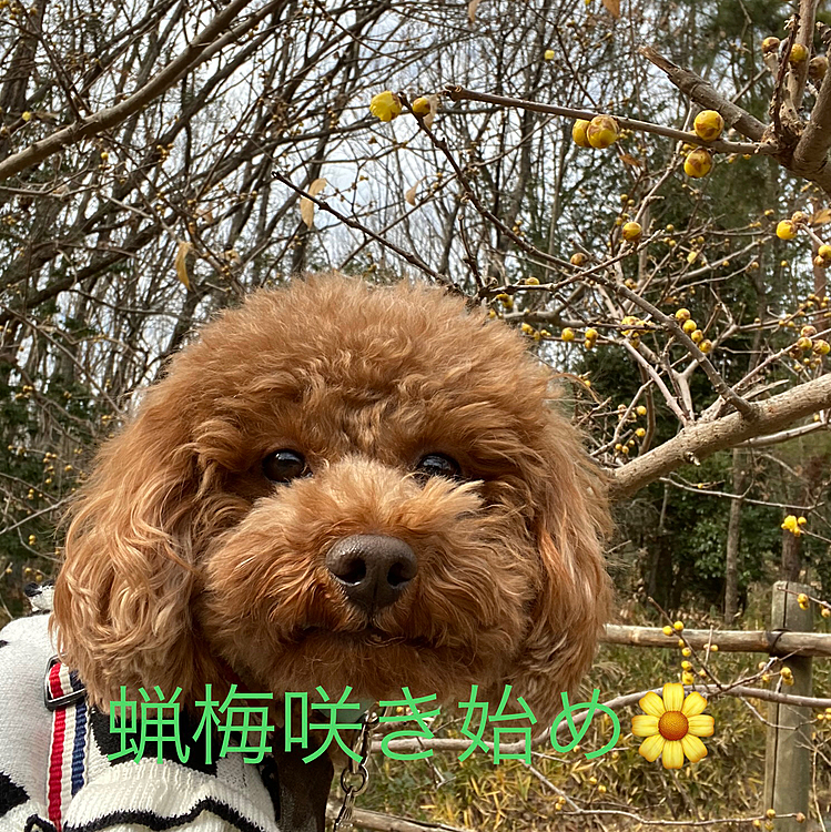 写真はここ数日のハッピーです🎶