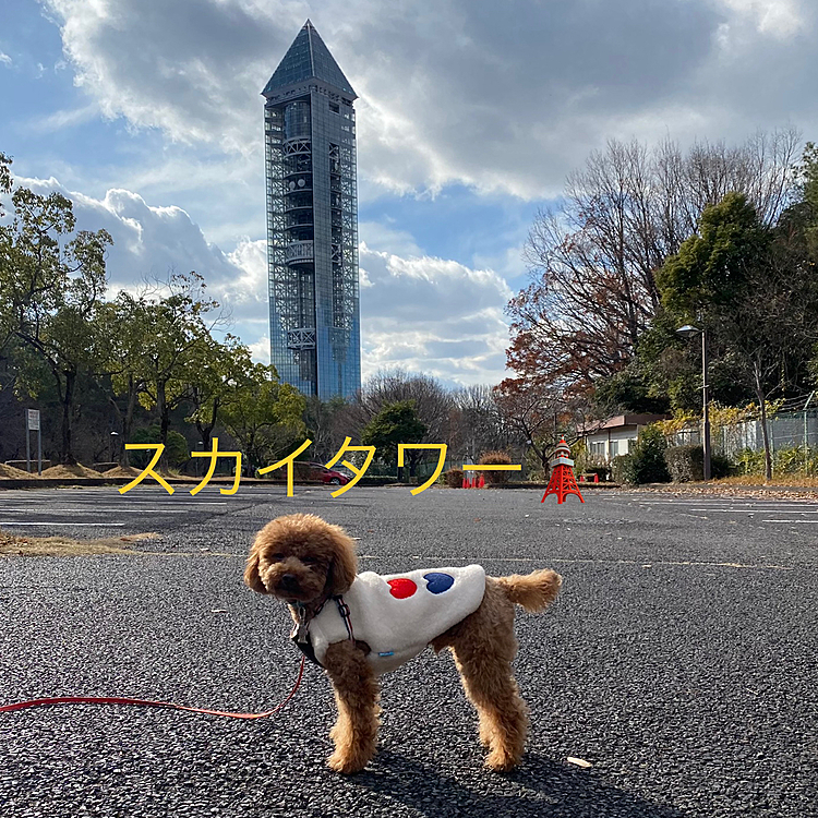 今日は明日からの寒波に備えてゆっくり1時間半のお散歩しました🐾