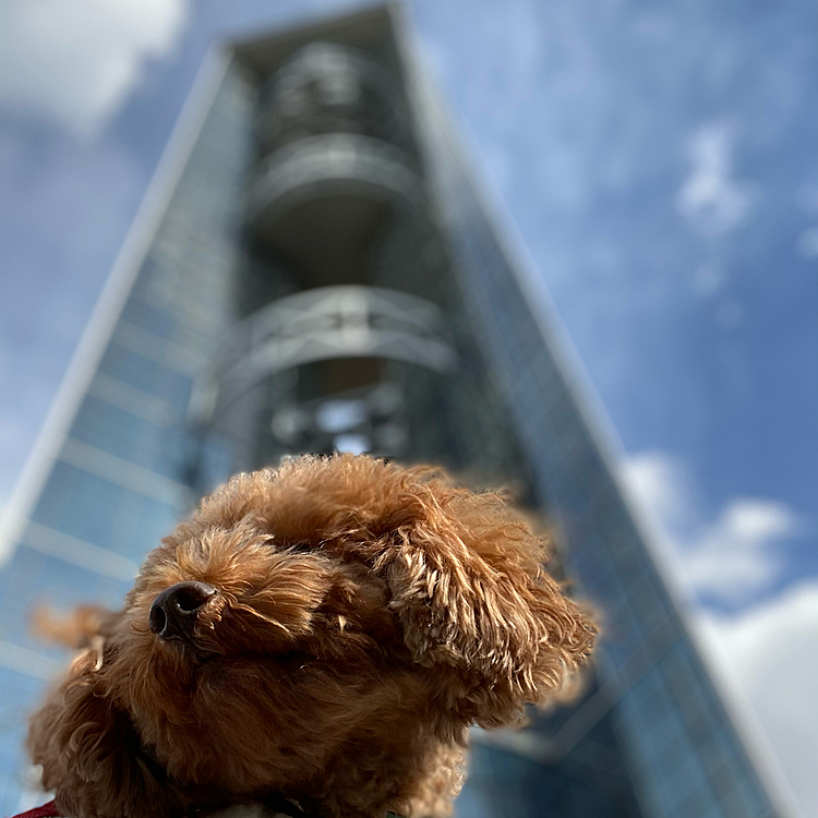 タワーの麓にて🗼