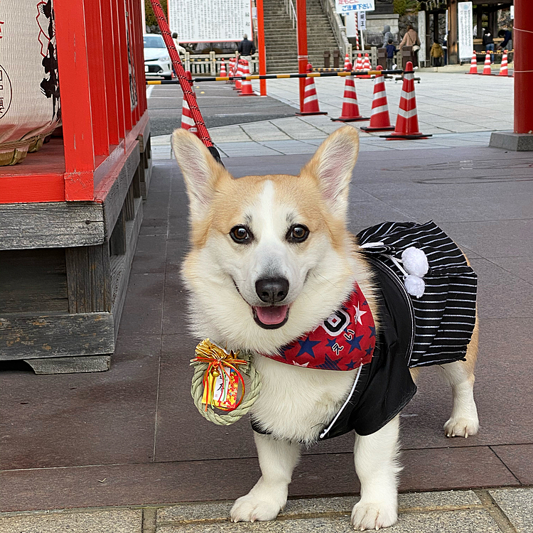ママが名札の代わりに〆縄を付けてくれた（笑）
