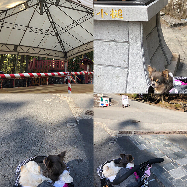 神社に参拝してきたよ。

